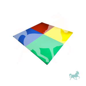 Colchoneta Especial de 4 Colores de 200x200x5cm